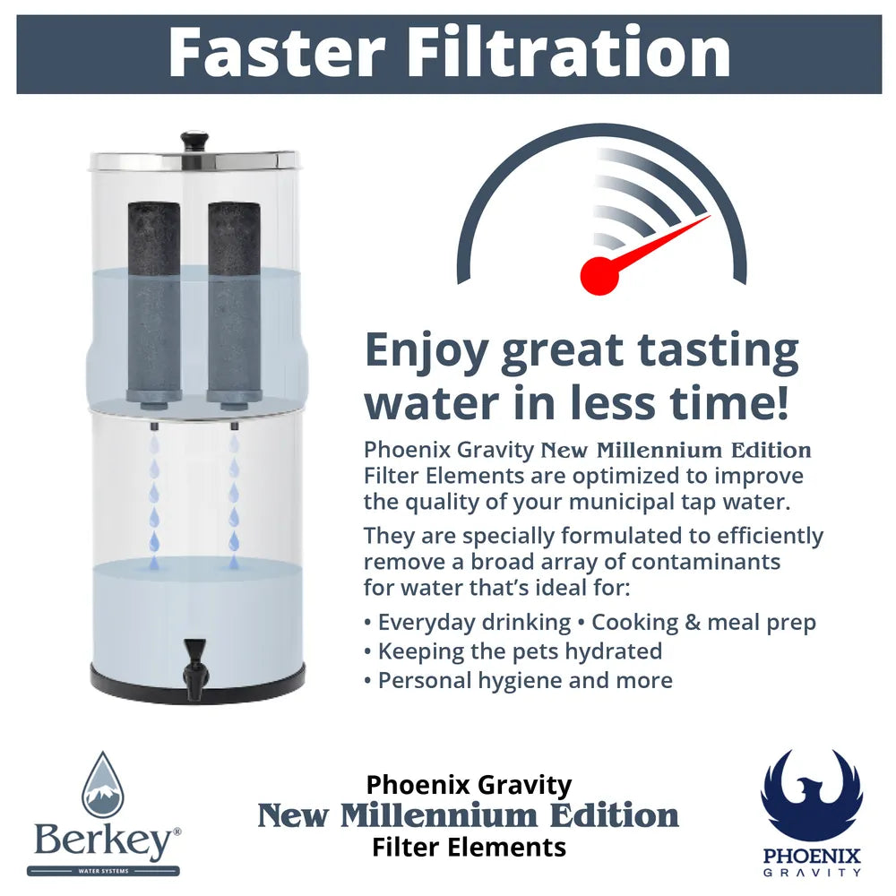 Faster Filtration infographic for Phoenix filter elements